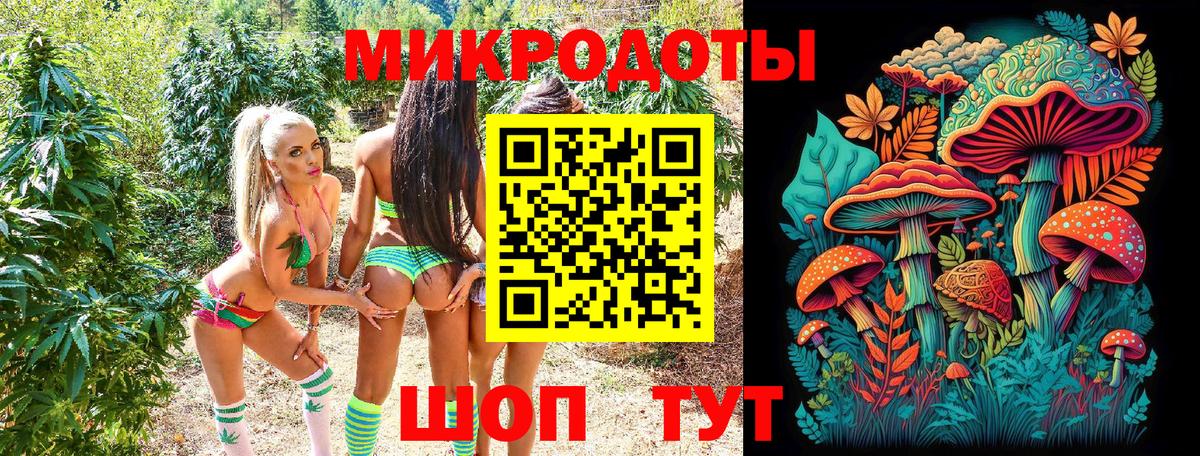 Псилоцибиновые грибы мицелий  Вход с VPN  Саранск 