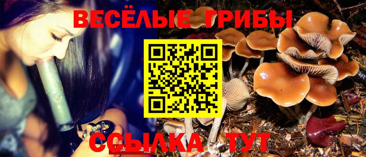 Галлюциногенные грибы ЛСД Саранск